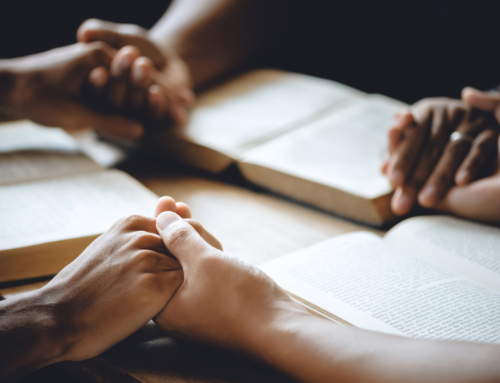 Discipleship Study Guide